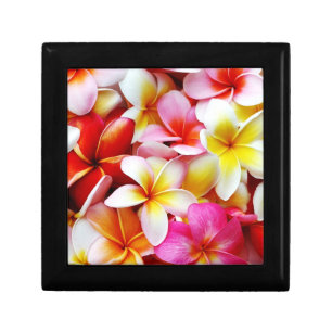 Plumeria Frangipani Hawaii Flower Customized Gift Box