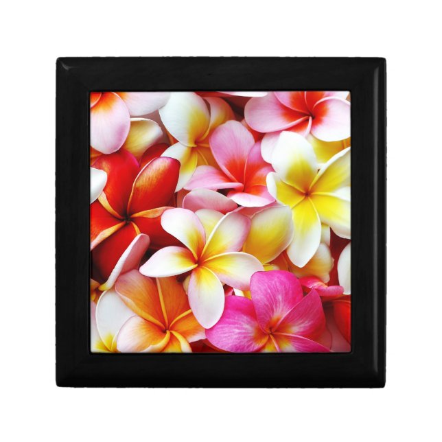 Plumeria Frangipani Hawaii Flower Customized Gift Box (Front)