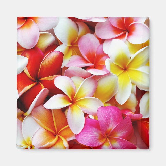 Plumeria Frangipani Hawaii Flower Customized Magnet (Front)