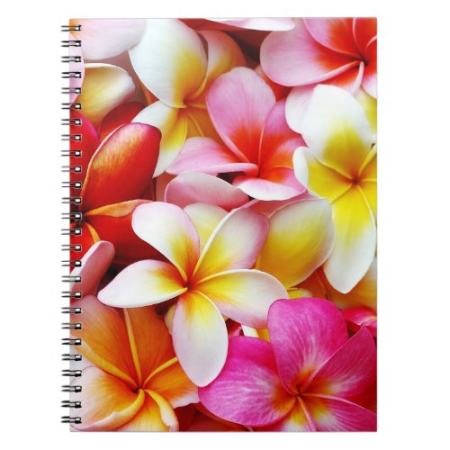 Plumeria Frangipani Hawaii Flower Customized Notebook