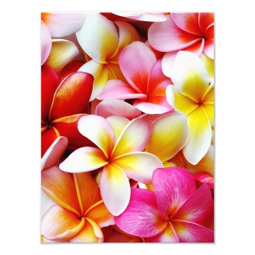 Plumeria Frangipani Hawaii Flower Customized Photo Print