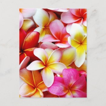 Plumeria Frangipani Hawaii Flower Customized Postcard by SilverSpiral at Zazzle