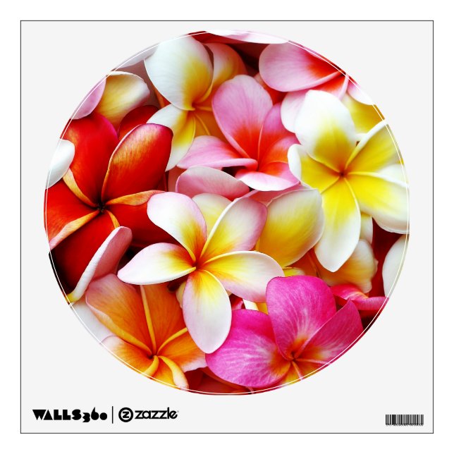 Plumeria Frangipani Hawaii Flower Customized Wall Sticker (Front)