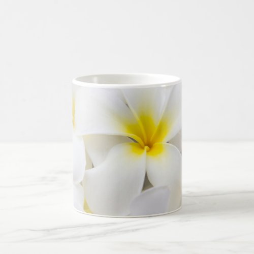 Plumeria Frangipani Hawaii Flower Flowers Template Coffee Mug