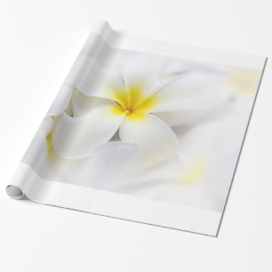 Plumeria Frangipani Hawaii Flower Flowers Template Wrapping Paper