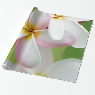 Plumeria Frangipani Hawaii Flower Hawaiian Flowers Wrapping Paper