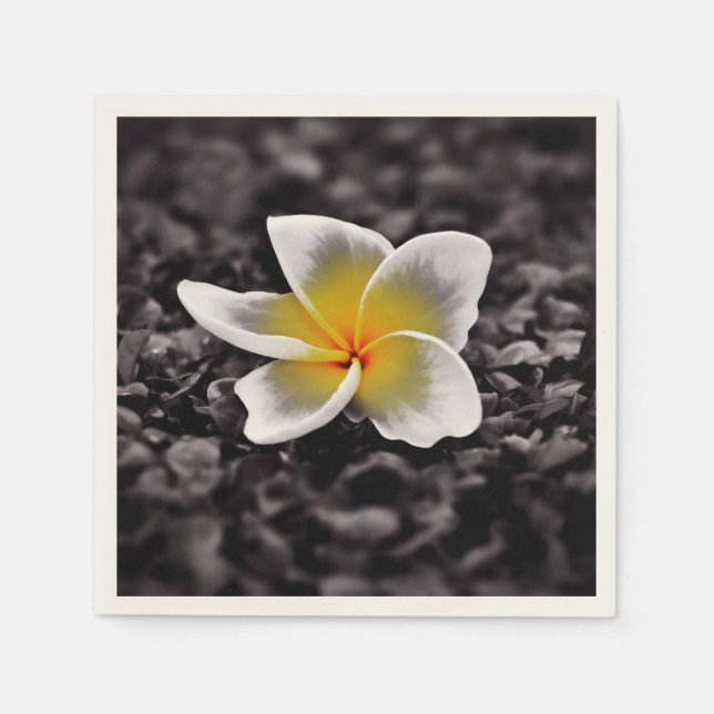 Plumeria Frangipani Hawaii Flower Napkins (Front)