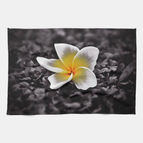 Plumeria Frangipani Hawaii Flower Towel