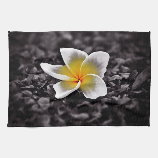 Plumeria Frangipani Hawaii Flower Towel (Horizontal)