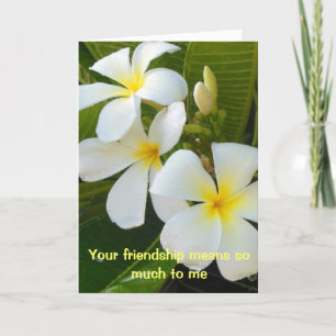 Plumeria Friendship Poem Letterpress Thank You Card