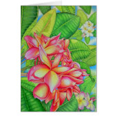 Plumeria Garden (Front)