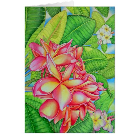 Plumeria Garden (Front)