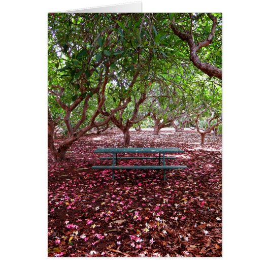 Plumeria Grove Cards (Front)