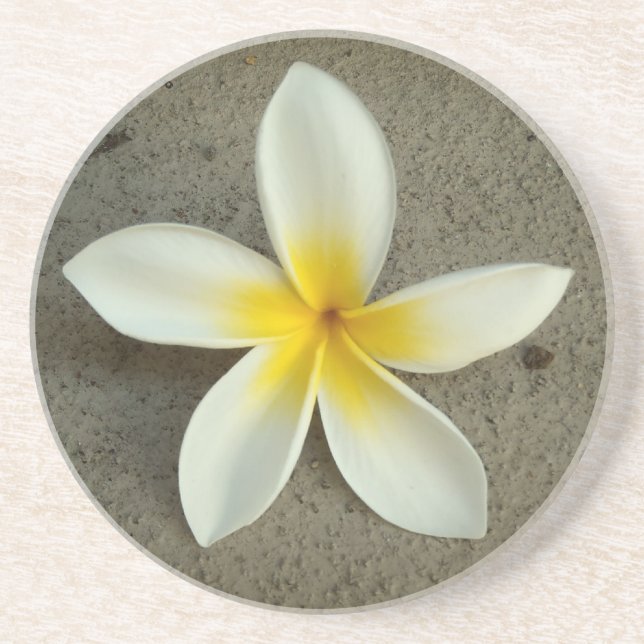 Plumeria hawaii flower coasters (Front)