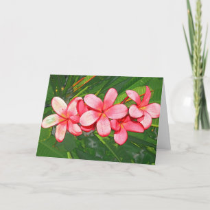 Plumeria Holiday Card