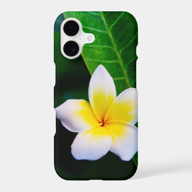 plumeria iPhone case (Back)