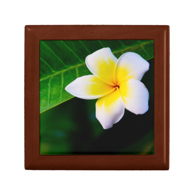 plumeria keepsake box (Front)