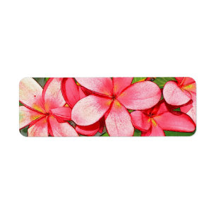 plumeria label
