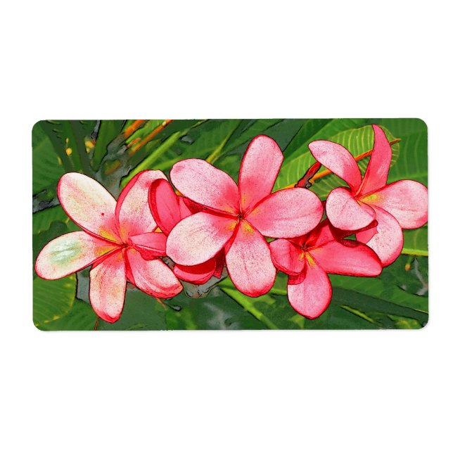 plumeria label (Front)