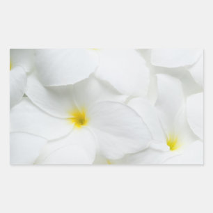 Plumeria Lei Flowers Personalized Hawaiian Flower Rectangular Sticker