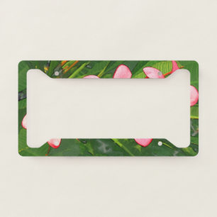 plumeria license plate frame