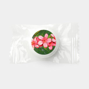 Plumeria Life Saver® Mints
