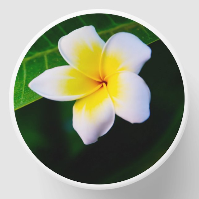 plumeria mini candle favors (Front)