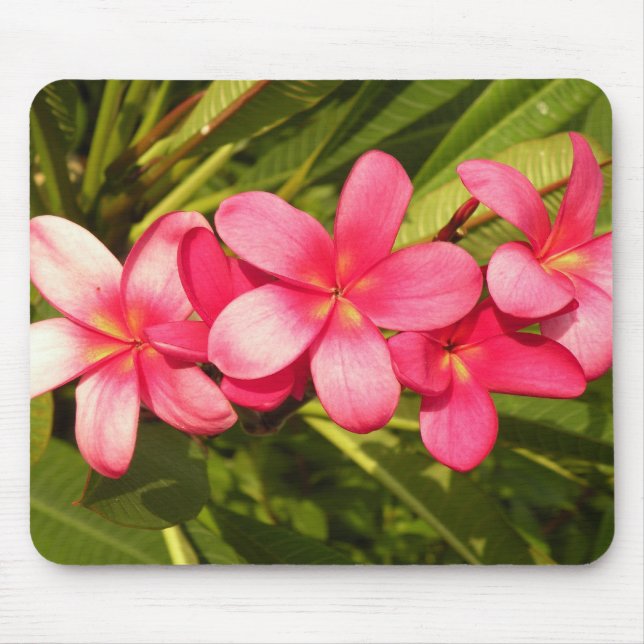 plumeria mouse pad (Front)