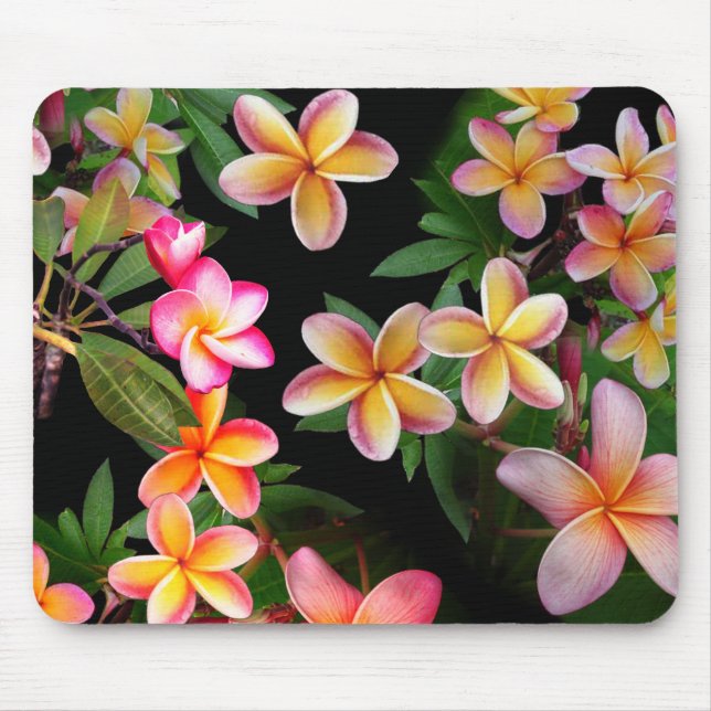 Plumeria Mouse Pad (Front)