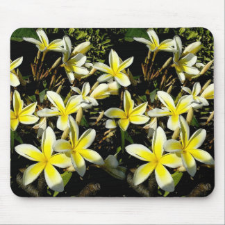 Plumeria Mouspad Mouse Pad