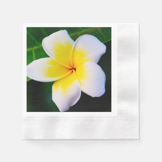 plumeria napkins (Front)
