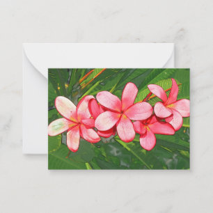Plumeria Note Card