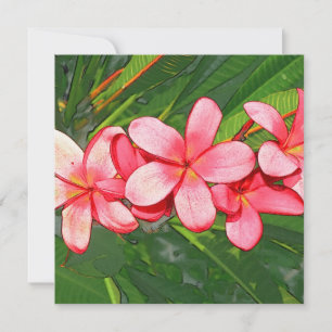 Plumeria Note Card