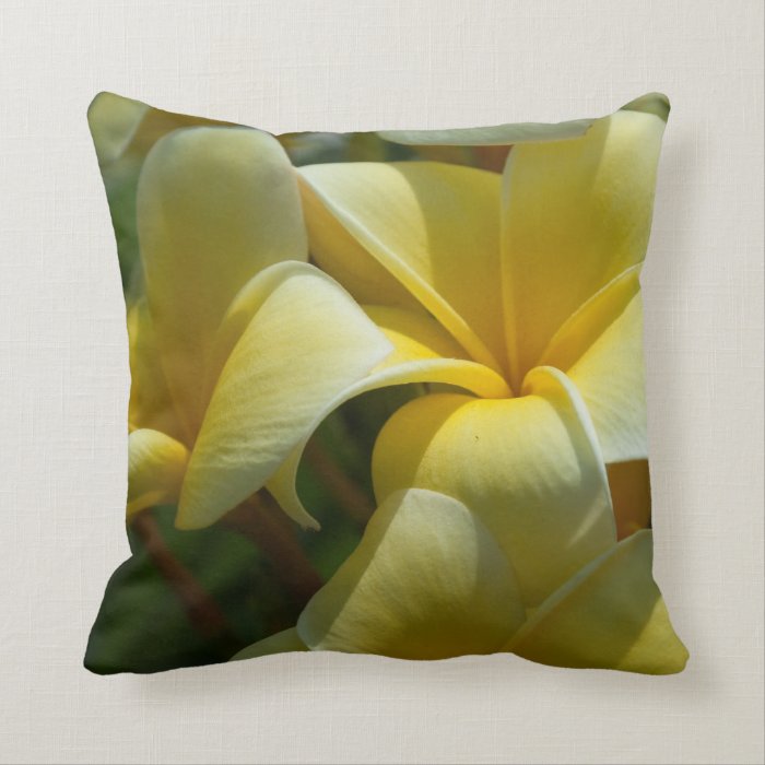 Plumeria Photo Pillow Pillow