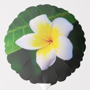 Plumeria Photo Print Balloon