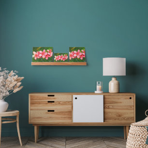 plumeria picture ledge