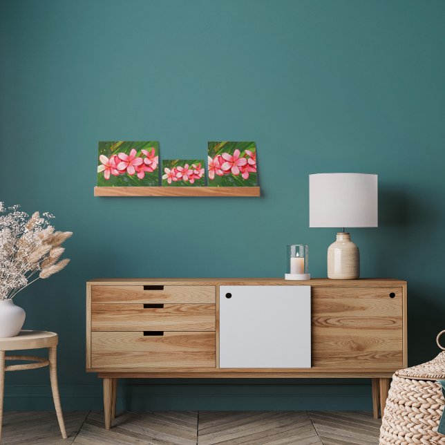 plumeria picture ledge (Living Room)