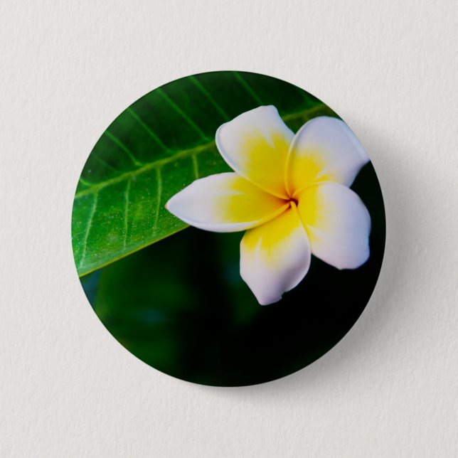 Plumeria Pinback Button (Front)