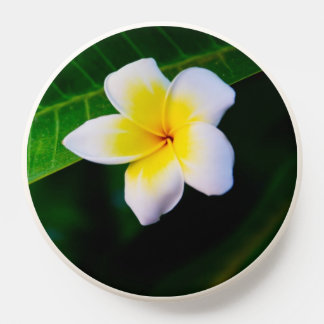 plumeria PopSocket