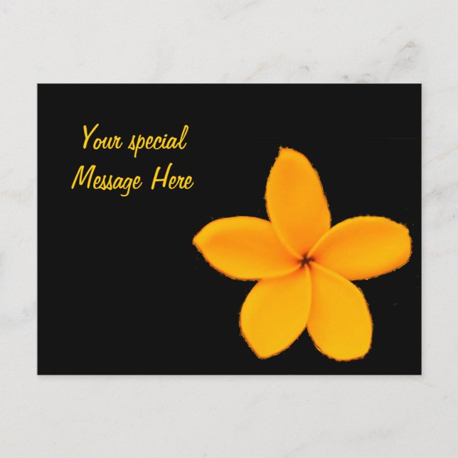 Plumeria Postcard (Front)
