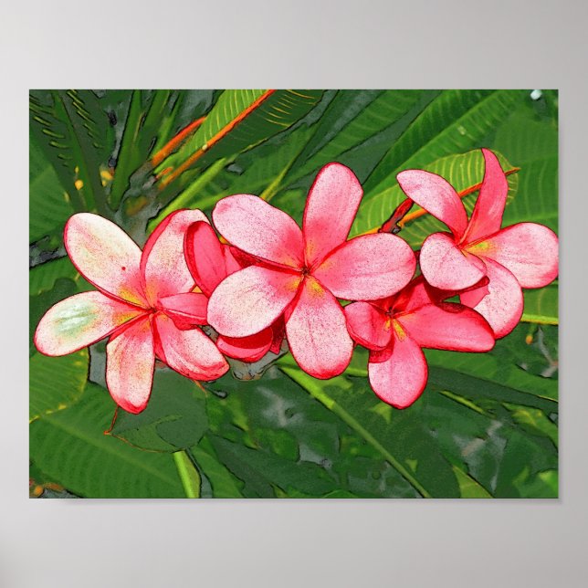 Plumeria Poster (Front)