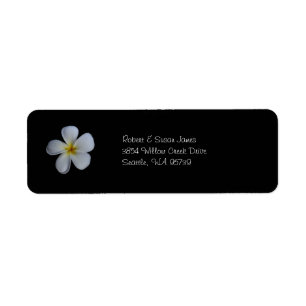 Plumeria Return Address Labels