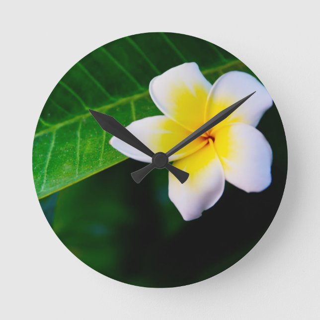 plumeria round clock (Front)