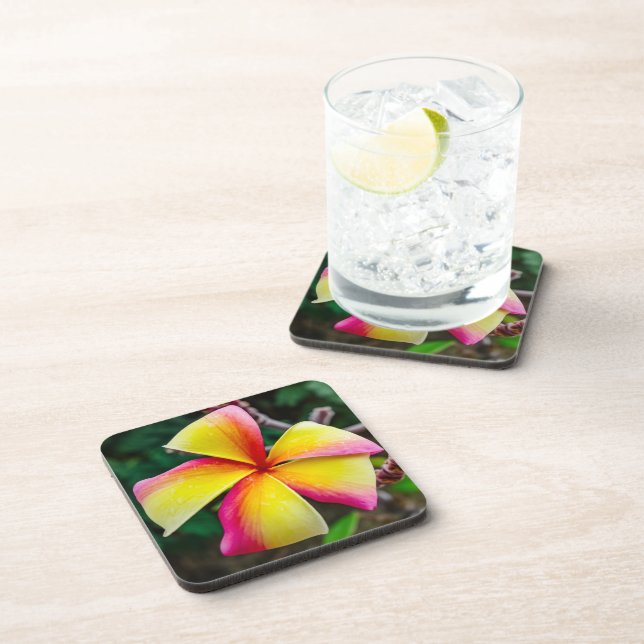 Plumeria rubra beverage coaster (Right Side)