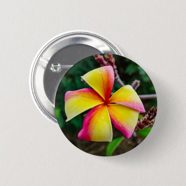 Plumeria rubra button (Front & Back)