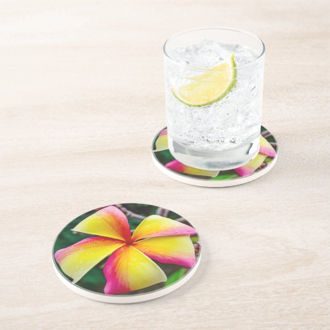 Plumeria rubra coaster (Side)