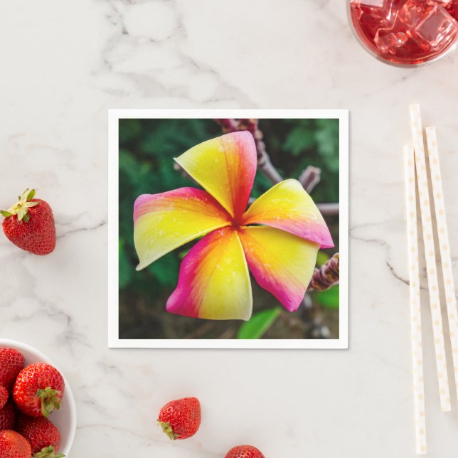 Plumeria rubra napkins (Insitu)