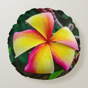 Plumeria rubra round pillow