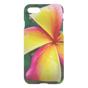Plumeria rubra iPhone SE/8/7 case