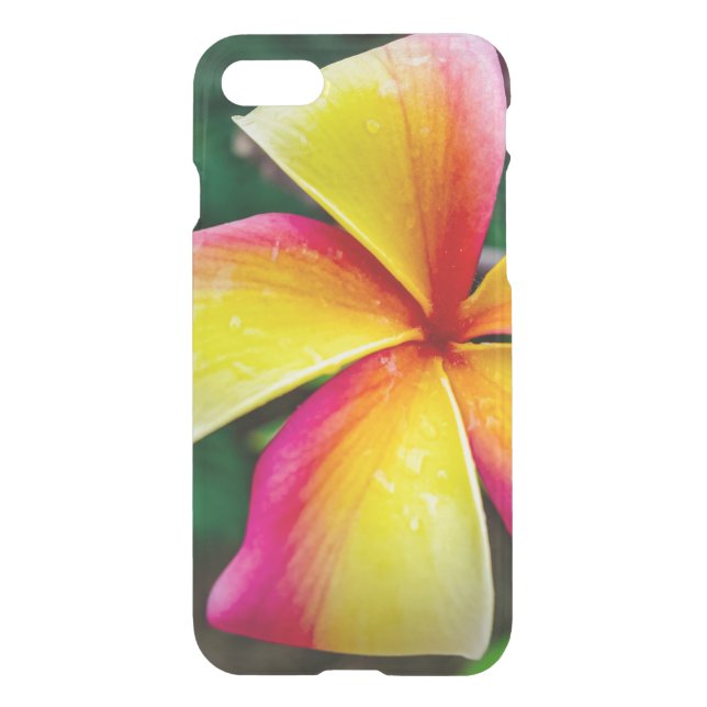 Plumeria rubra uncommon iPhone case (Back)